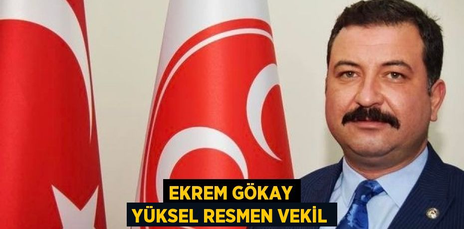 EKREM GÖKAY YÜKSEL RESMEN VEKİL