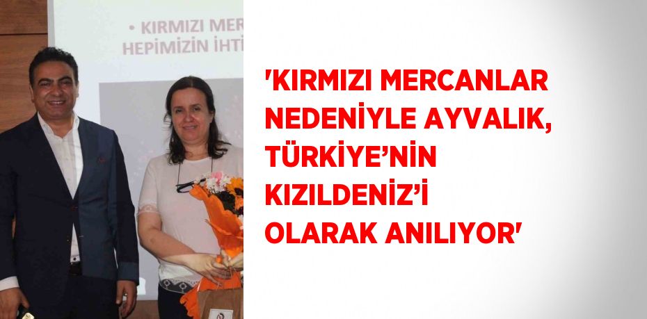 'KIRMIZI MERCANLAR NEDENİYLE AYVALIK, TÜRKİYE’NİN KIZILDENİZ’İ OLARAK ANILIYOR'