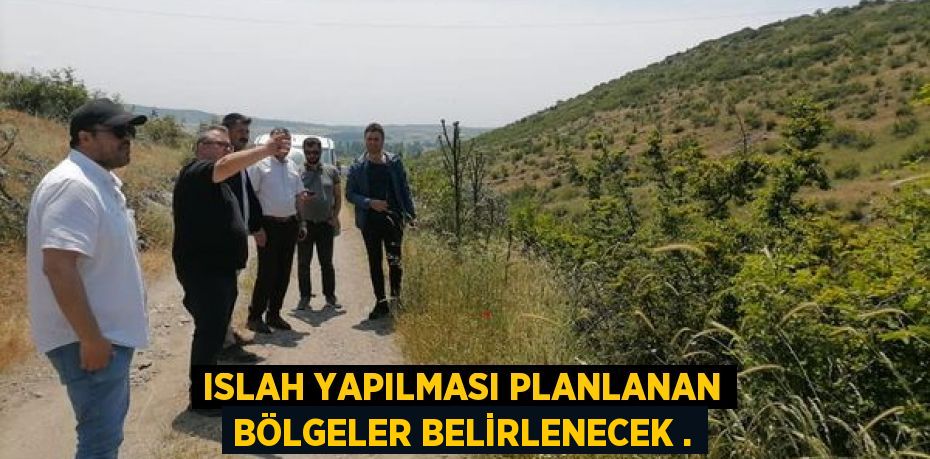 ISLAH YAPILMASI PLANLANAN BÖLGELER BELİRLENECEK .