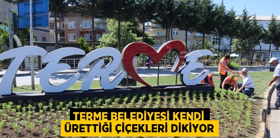 TERME BELEDİYESİ KENDİ ÜRETTİĞİ ÇİÇEKLERİ DİKİYOR