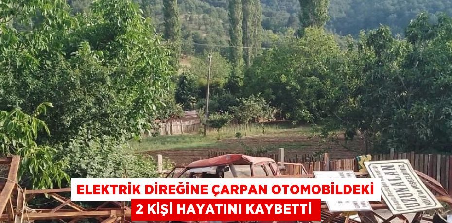 ELEKTRİK DİREĞİNE ÇARPAN OTOMOBİLDEKİ 2 KİŞİ HAYATINI KAYBETTİ