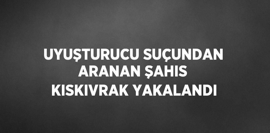 UYUŞTURUCU SUÇUNDAN ARANAN ŞAHIS KISKIVRAK YAKALANDI