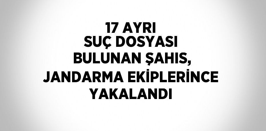 17 AYRI SUÇ DOSYASI BULUNAN ŞAHIS, JANDARMA EKİPLERİNCE YAKALANDI