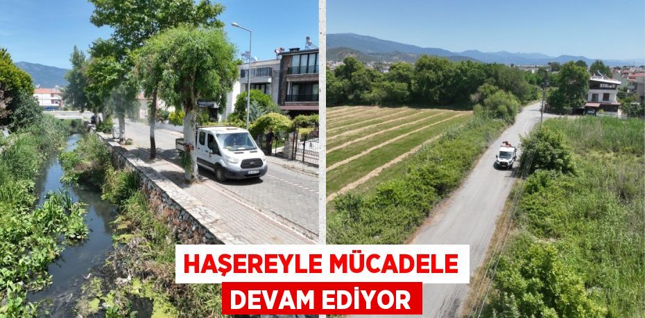 HAŞEREYLE MÜCADELE DEVAM EDİYOR