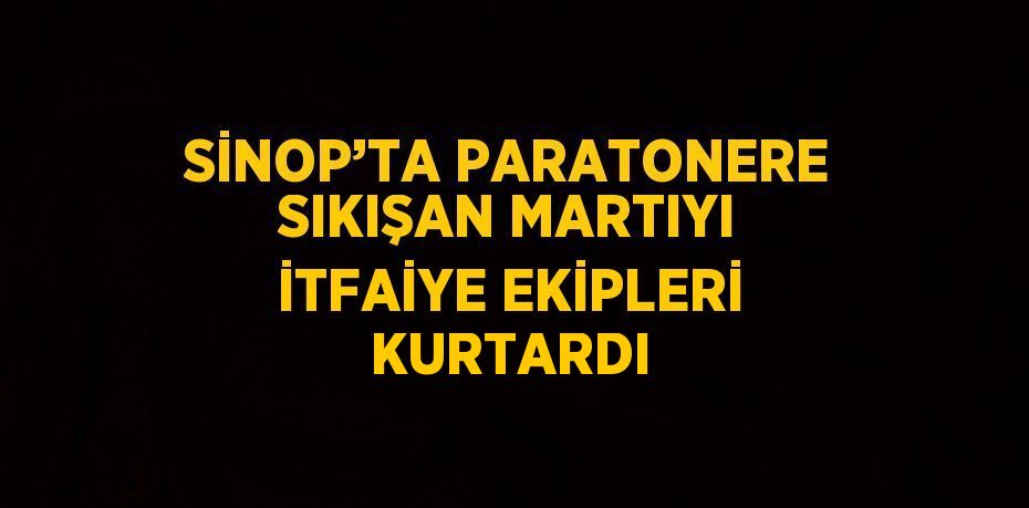 SİNOP’TA PARATONERE SIKIŞAN MARTIYI İTFAİYE EKİPLERİ KURTARDI