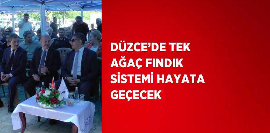 DÜZCE’DE TEK AĞAÇ FINDIK SİSTEMİ HAYATA GEÇECEK