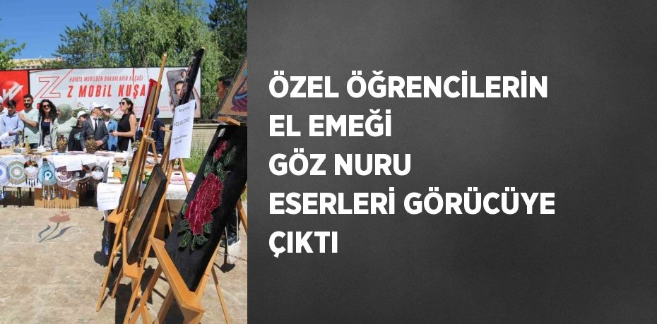 ÖZEL ÖĞRENCİLERİN EL EMEĞİ GÖZ NURU ESERLERİ GÖRÜCÜYE ÇIKTI