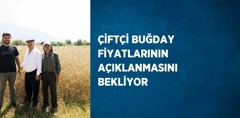 ÇİFTÇİ BUĞDAY FİYATLARININ AÇIKLANMASINI BEKLİYOR