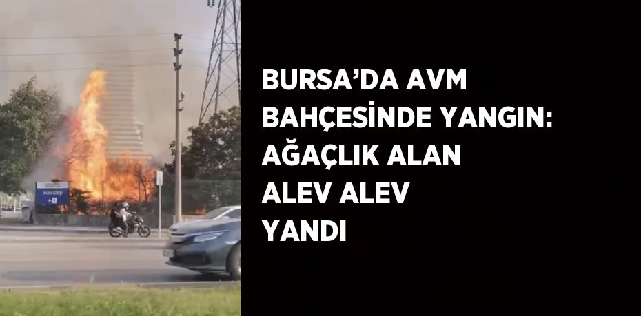 BURSA’DA AVM BAHÇESİNDE YANGIN: AĞAÇLIK ALAN ALEV ALEV YANDI