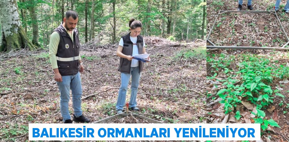 BALIKESİR ORMANLARI YENİLENİYOR