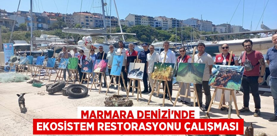 MARMARA DENİZİ’NDE EKOSİSTEM RESTORASYONU ÇALIŞMASI