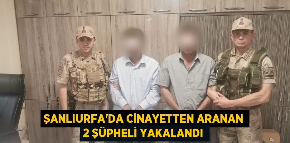 Şanlıurfa'da cinayetten aranan 2 şüpheli yakalandı