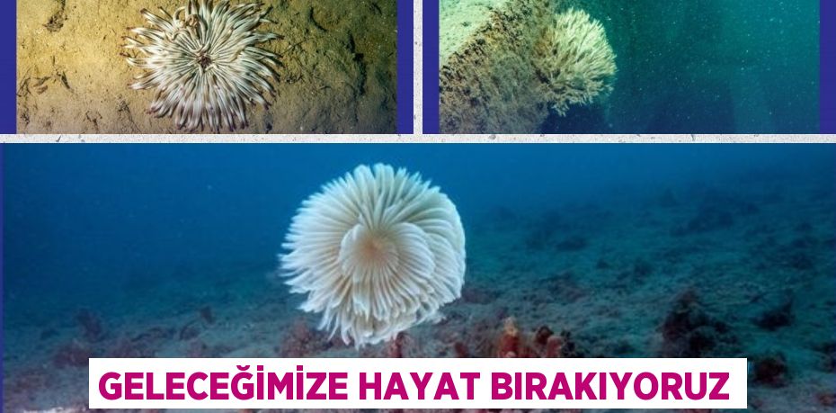 GELECEĞİMİZE HAYAT BIRAKIYORUZ