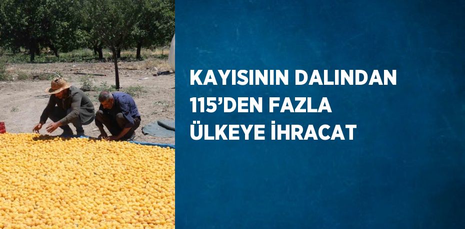 KAYISININ DALINDAN 115’DEN FAZLA ÜLKEYE İHRACAT