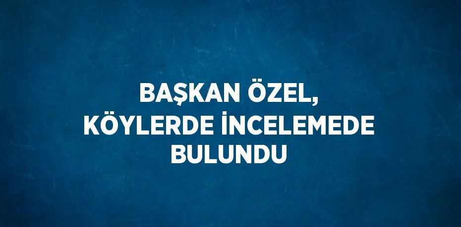 BAŞKAN ÖZEL, KÖYLERDE İNCELEMEDE BULUNDU