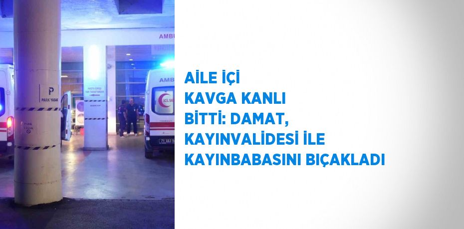 AİLE İÇİ KAVGA KANLI BİTTİ: DAMAT, KAYINVALİDESİ İLE KAYINBABASINI BIÇAKLADI