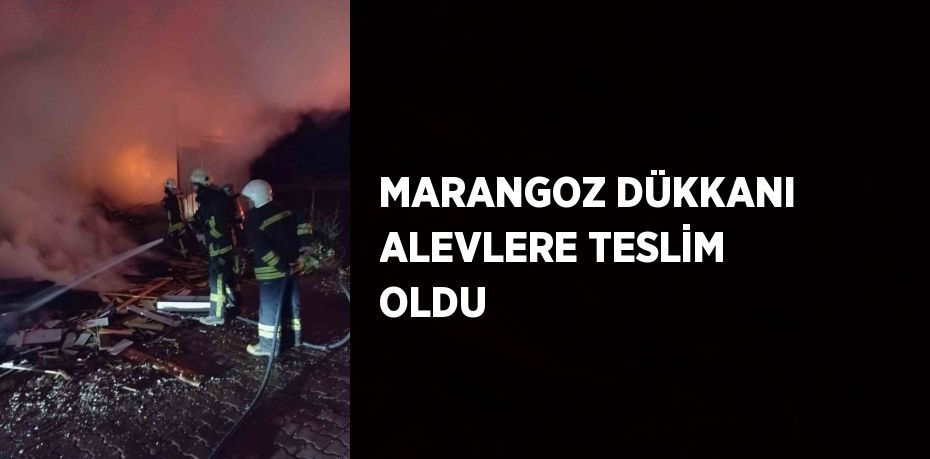 MARANGOZ DÜKKANI ALEVLERE TESLİM OLDU