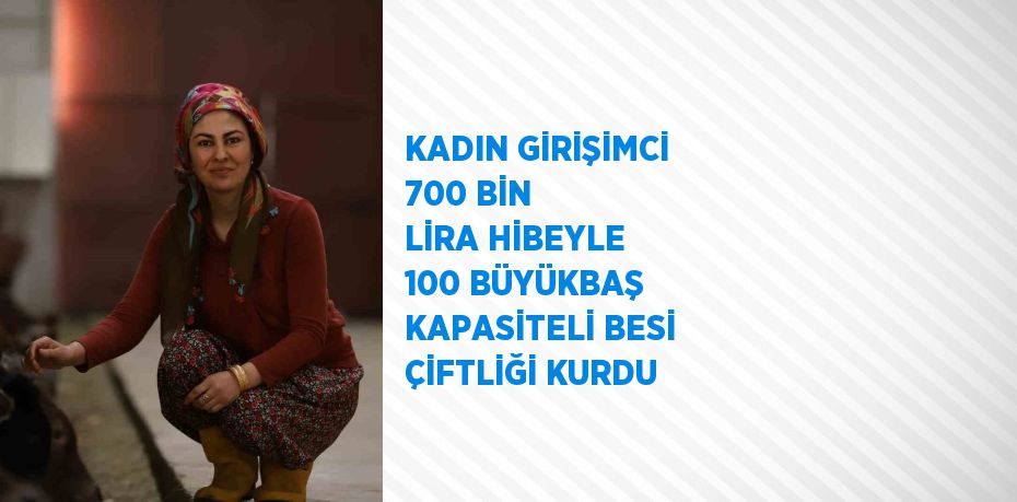 KADIN GİRİŞİMCİ 700 BİN LİRA HİBEYLE 100 BÜYÜKBAŞ KAPASİTELİ BESİ ÇİFTLİĞİ KURDU