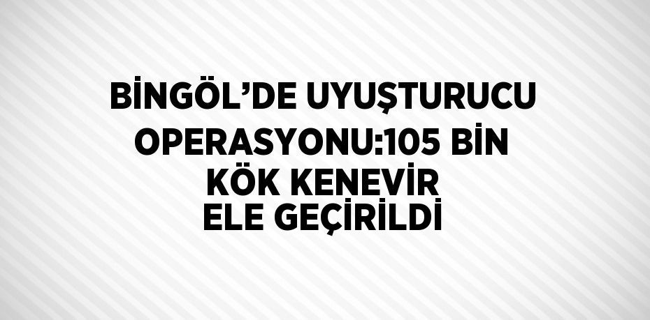 BİNGÖL’DE UYUŞTURUCU OPERASYONU:105 BİN KÖK KENEVİR ELE GEÇİRİLDİ