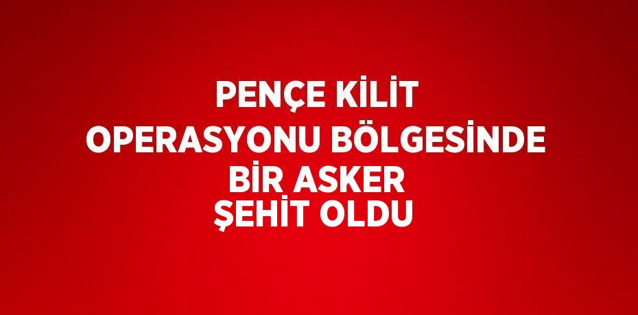 PENÇE KİLİT OPERASYONU BÖLGESİNDE BİR ASKER ŞEHİT OLDU