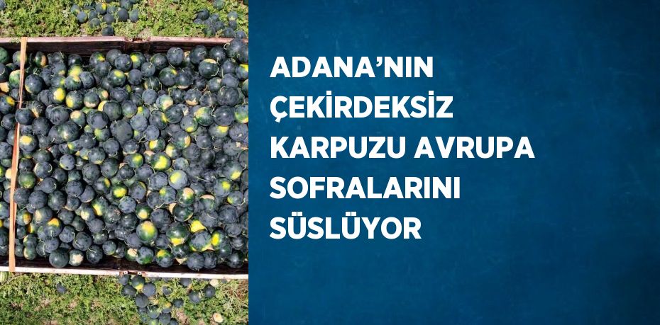 ADANA’NIN ÇEKİRDEKSİZ KARPUZU AVRUPA SOFRALARINI SÜSLÜYOR