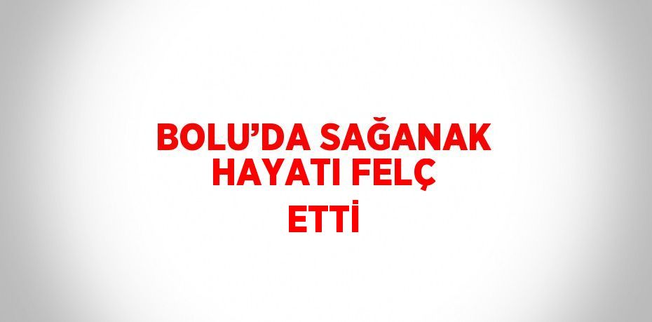 BOLU’DA SAĞANAK HAYATI FELÇ ETTİ