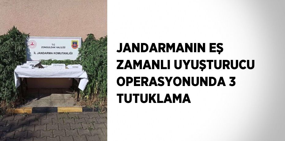 JANDARMANIN EŞ ZAMANLI UYUŞTURUCU OPERASYONUNDA 3 TUTUKLAMA