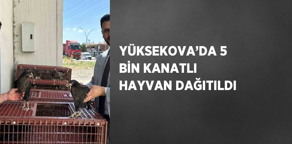 YÜKSEKOVA’DA 5 BİN KANATLI HAYVAN DAĞITILDI