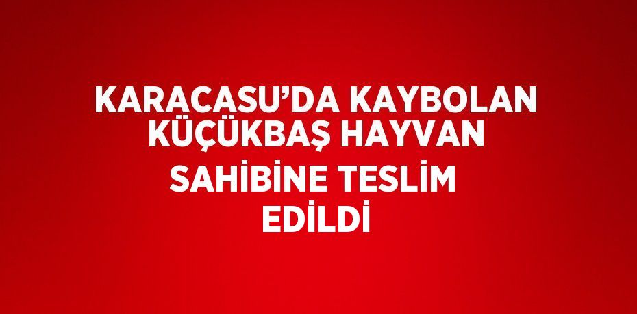 KARACASU’DA KAYBOLAN KÜÇÜKBAŞ HAYVAN SAHİBİNE TESLİM EDİLDİ