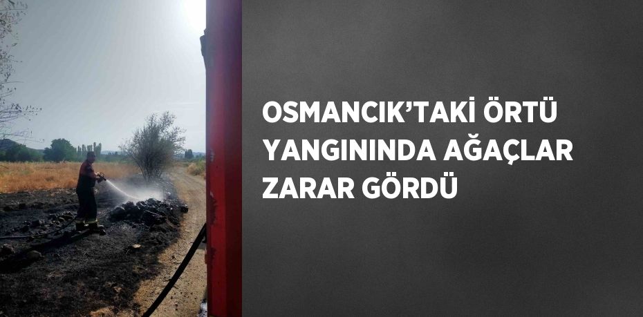 OSMANCIK’TAKİ ÖRTÜ YANGININDA AĞAÇLAR ZARAR GÖRDÜ