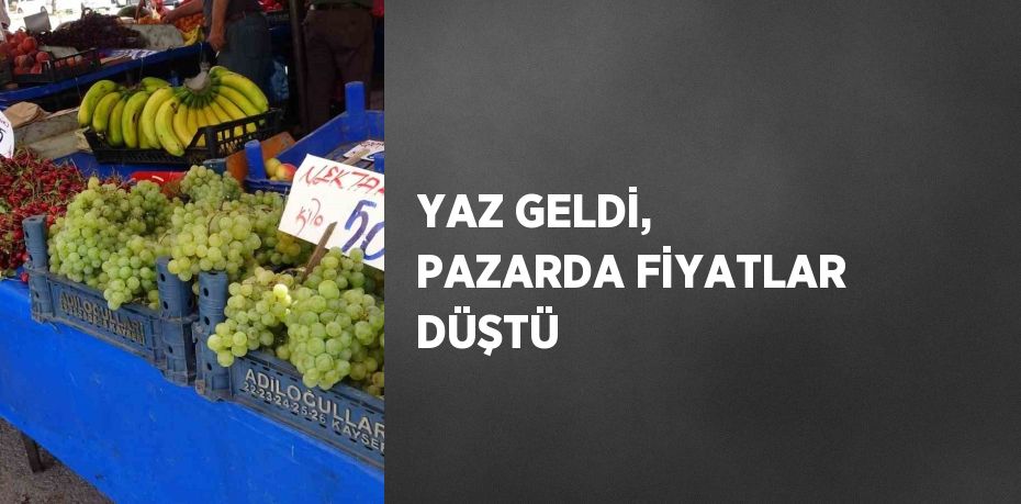 YAZ GELDİ, PAZARDA FİYATLAR DÜŞTÜ