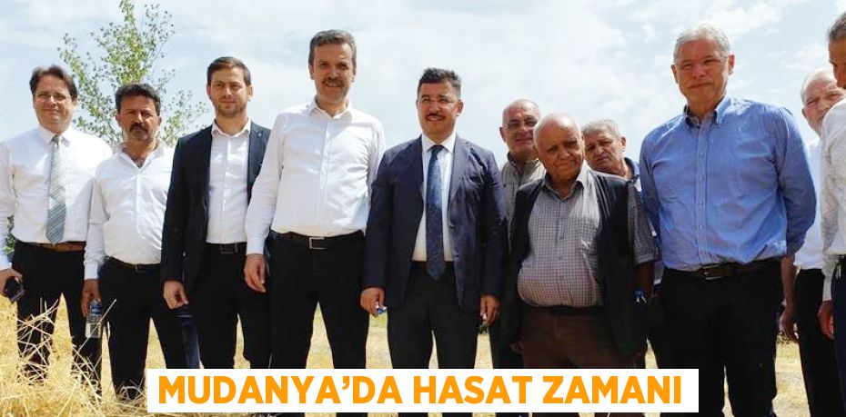 MUDANYA’DA HASAT ZAMANI