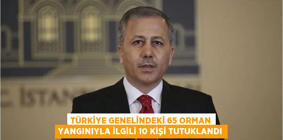 Türkiye genelindeki 65 orman yangınıyla ilgili 10 kişi tutuklandı