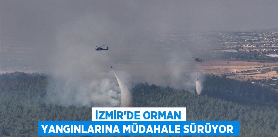 İZMİR'DE ORMAN YANGINLARINA MÜDAHALE SÜRÜYOR