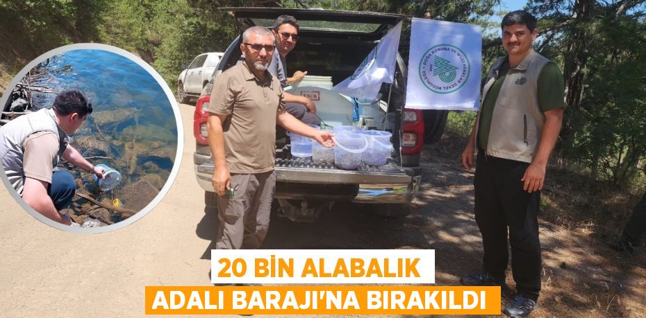 20 Bin Alabalık Adalı Barajı'na Bırakıldı