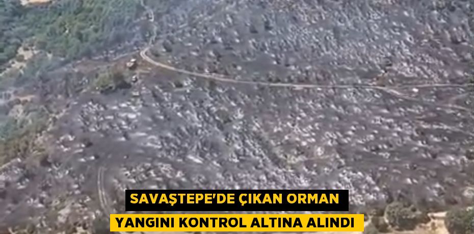 Savaştepe’de Çıkan Orman Yangını Kontrol Altına Alındı