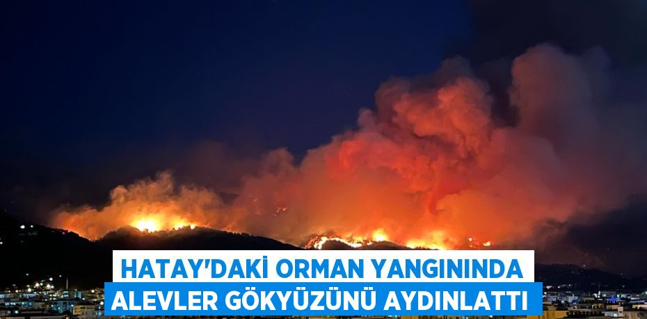 Hatay’daki orman yangınında alevler gökyüzünü aydınlattı