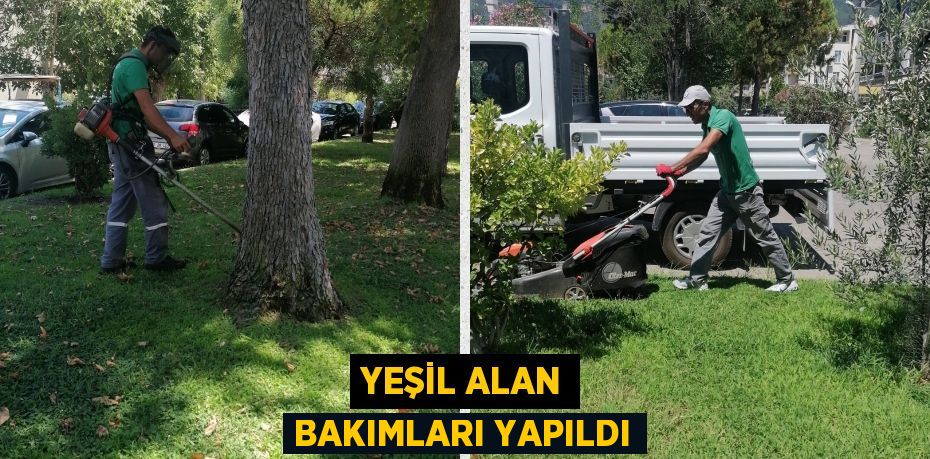 YEŞİL ALAN BAKIMLARI YAPILDI