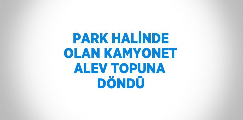 PARK HALİNDE OLAN KAMYONET ALEV TOPUNA DÖNDÜ