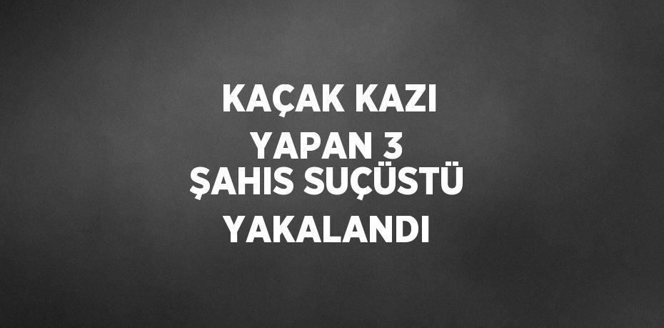 KAÇAK KAZI YAPAN 3 ŞAHIS SUÇÜSTÜ YAKALANDI