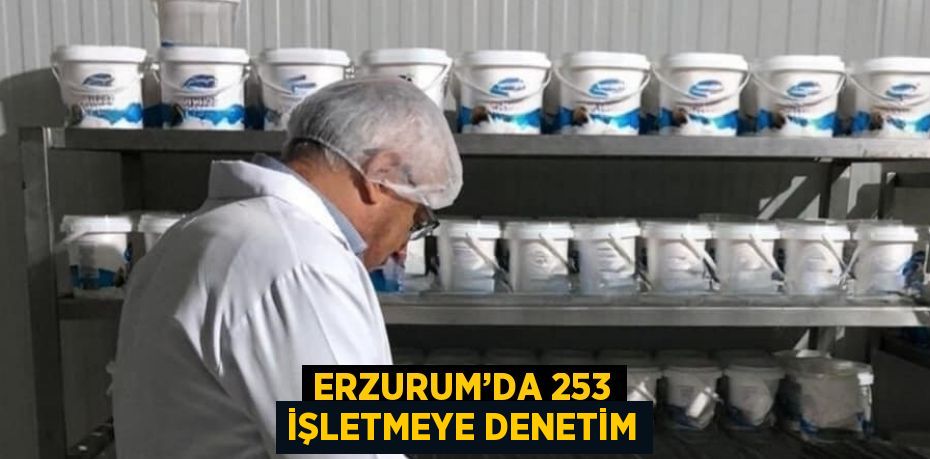 ERZURUM’DA 253 İŞLETMEYE DENETİM