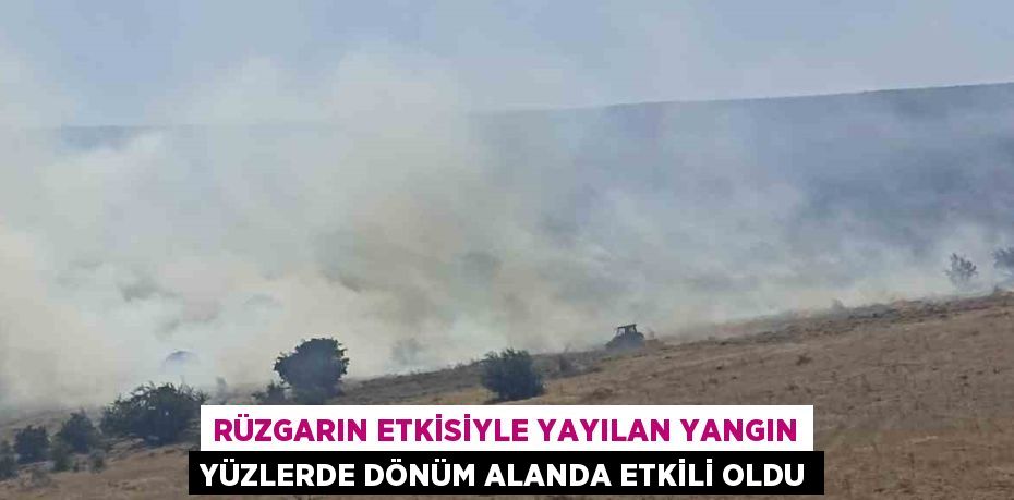 RÜZGARIN ETKİSİYLE YAYILAN YANGIN YÜZLERDE DÖNÜM ALANDA ETKİLİ OLDU