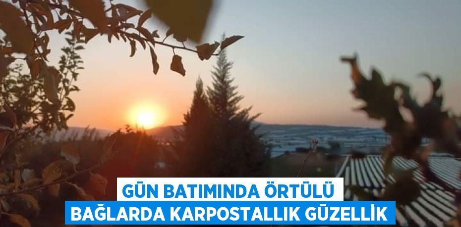 GÜN BATIMINDA ÖRTÜLÜ BAĞLARDA KARPOSTALLIK GÜZELLİK