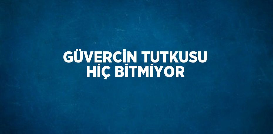 GÜVERCİN TUTKUSU HİÇ BİTMİYOR