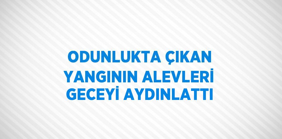 ODUNLUKTA ÇIKAN YANGININ ALEVLERİ GECEYİ AYDINLATTI