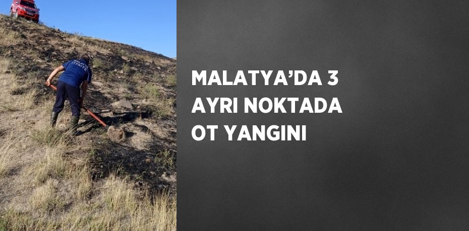 MALATYA’DA 3 AYRI NOKTADA OT YANGINI