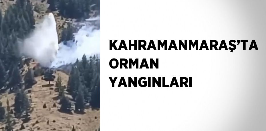 KAHRAMANMARAŞ’TA ORMAN YANGINLARI