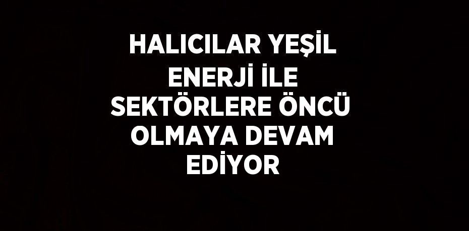 HALICILAR YEŞİL ENERJİ İLE SEKTÖRLERE ÖNCÜ OLMAYA DEVAM EDİYOR