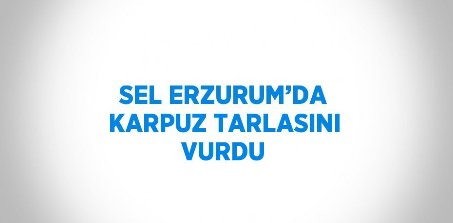 SEL ERZURUM’DA KARPUZ TARLASINI VURDU