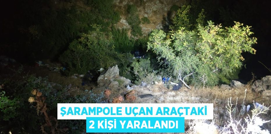 Şarampole uçan araçtaki 2 kişi yaralandı